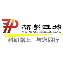 HP-E20689 大鼠β-防御素(β-DF)酶聯免疫試劑盒